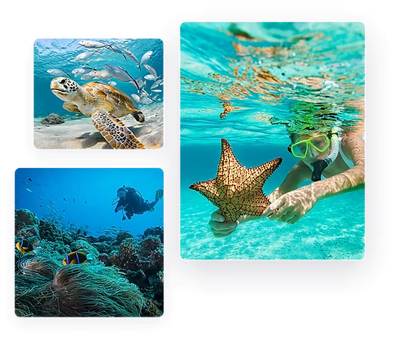 imgi 5 right scuba img 1 1